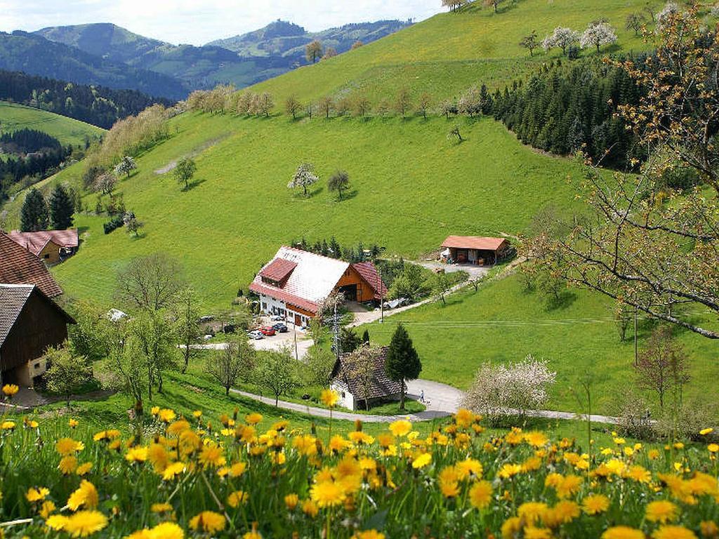 Апартаменты Unterer Gurethshof Целль-ам-Хармерсбах Экстерьер фото