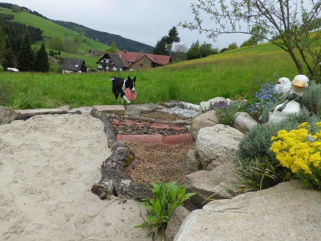 Апартаменты Unterer Gurethshof Целль-ам-Хармерсбах Экстерьер фото