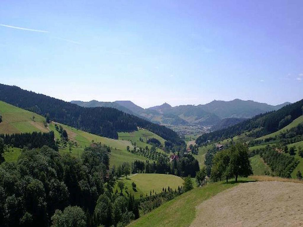 Апартаменты Unterer Gurethshof Целль-ам-Хармерсбах Экстерьер фото
